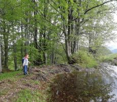 TABOR NA PLANINI RAZOR